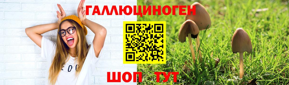 Галлюциногенные грибы GOLDEN TEACHER Соликамск
